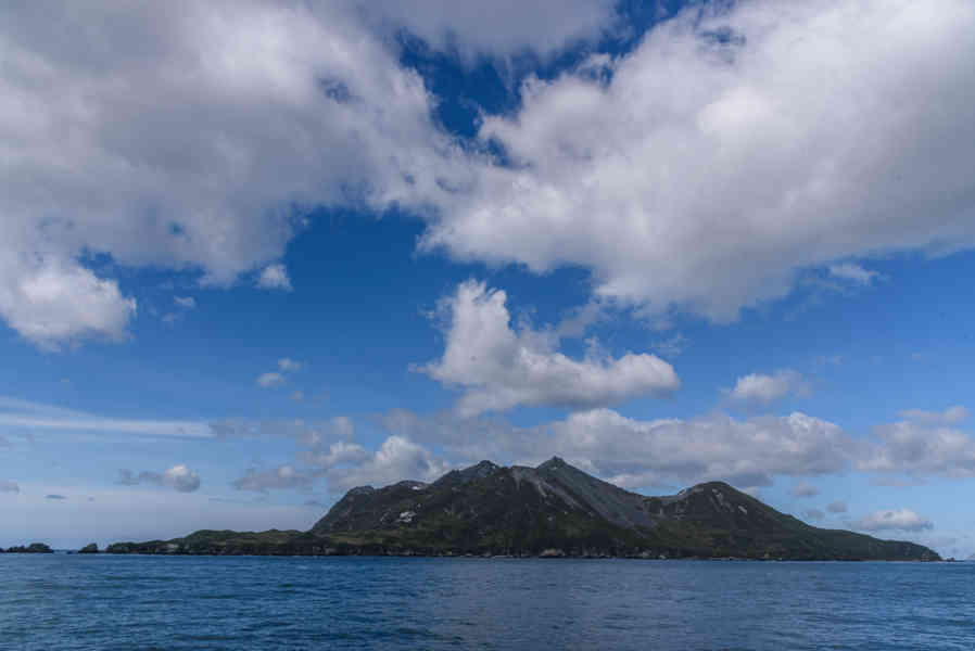 Islas Georgias del Sur 061.jpg